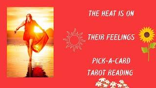 ️The Heat is On/Their feelings/Pick-a-Card Tarot Reading