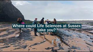 Welcome to the School of Life Sciences – Postgraduate Study