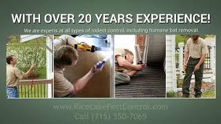 Rice Lake Pest Control by Prompt Action (715) 350-7065