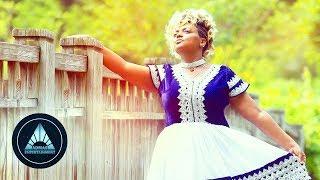 Dina Anteneh - Honelign (Official Video) | Ethiopian Music