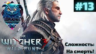 THE WITCHER 3 WILD HUNT Прохождение на Русском | ВЕДЬМАК 3 ДИКАЯ ОХОТА ПРОХОЖДЕНИЕ | СТРИМ #13