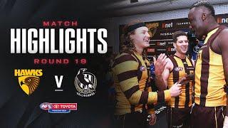 Hawthorn v Collingwood Highlights | Round 19, 2024 | AFL