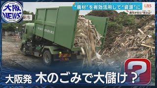 【大阪発】木のゴミが「金」山？～都市型のバイオマス発電 最前線〜