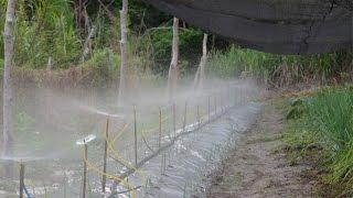 Aprenda a fazer um aspersor de água para molhar hortaliças -  Learn how to make a water sprinkler