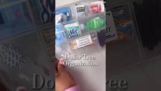 Dollar Tree Organization Hacks  #dollartree #organization #girlstrip #bachelorette #momlife #tips