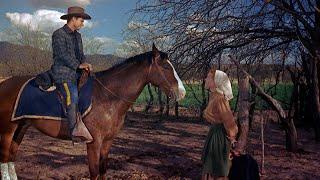 A Must-Watch Western Starring Audie Murphy! | Final Film of Evelyn Finley