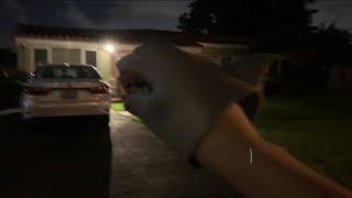 SB Movie: Shark Puppet goes to someone’s house! (READ DESC)