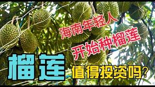 投资榴莲种植基地是可以的吗？ 中国年轻人投资榴莲到底有怎么想法呢？(English Subtitle)