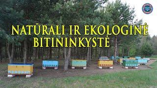 "Dangaus Žiedų" bitynas - natūrali ir ekologinė bitininkystė!