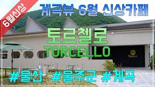 [4K] 토르첼로 : Torcello  울산 배내골 계곡가면 들려야하는 신상 카페 / 카페투어 리뷰