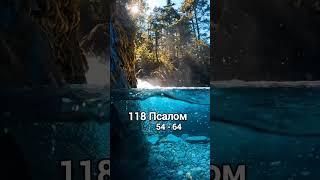 ПСАЛОМ 118 (54-64)