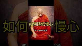 如何降低慢心？南傳上座部佛教：聖法大長老開示。說明欄有電子書下載及一日禪修資訊。 | 巴利三藏 | 佛法問答|禪修| 阿毗達摩| 清淨道論|法句經