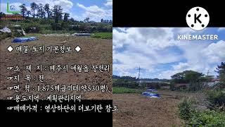 제주시 애월읍 장전리 영구적인 바다조망이 가능한 건축가능 토지매매 .손중기공인중개사사무소 손중기 010-4011-2202