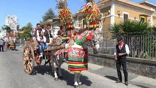 Sfilata di carretti siciliani per la Festa di Sant'Alfio a Trecastagni