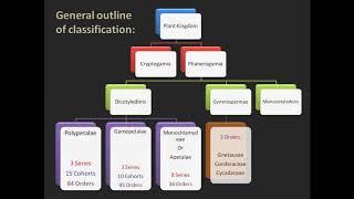 Bentham and Hooker system of classification of flowering plants