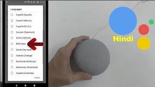 Finally Google Home Mini Supported Hindi Language How to Setup It