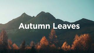 Autumn Leaves Mix Cozy Chillout Songs