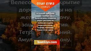 ЗМЕЙНИК ОСЕННИЙ ВЕЛЕСОВ ДЕНЬ 1.11.24Ведьмин календарь. Магия сильных дней. Сильные дни по Колу года