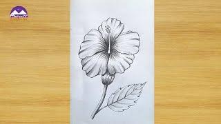 How to Draw Hibiscus flower