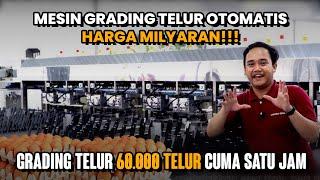 Mesin Grading Telur Otomatis HARGA MILYARAN !!! - Nabel Oracion 6000 | Tandang ke Kandang