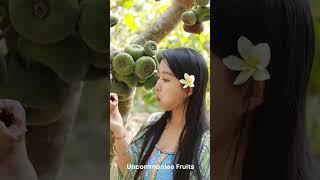 Suresh super fruit Ninja  ninja #04 @user - 5k fresh fruit