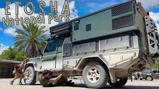 New paint job in Namibia - Ep282