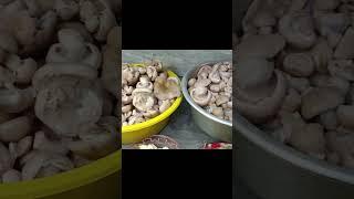 Маринованные грибы синеножка Зимняя заготовка самый простой рецепт а как это вкусно