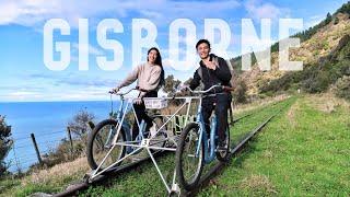 Railbike adventure & feeding wild stingrays GISBORNE, New Zealand | NORTH ISLAND NZ TRAVEL VLOG 4/5