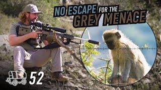 How we Solve a Monkey Problem in Africa! The Oxwagon Diaries, pt.52 | Monkeys, Hyrax & Squirrels