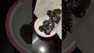 Banana chocolate bites. Health and easy to make snacks