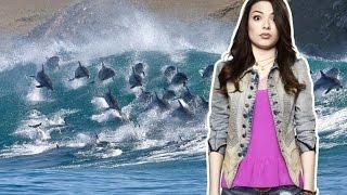 Miranda Cosgrove nuota con i delfini 