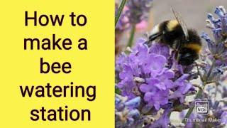 How to make a bee watering station