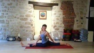 Vinyasa round - Fire monkey - Le singe du feu