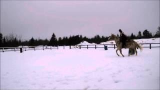 au trot