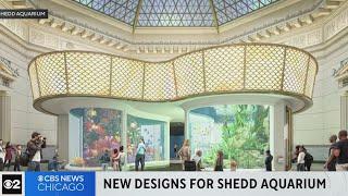 New $500 M redesign of Chicago's Shedd Aquarium unveiled