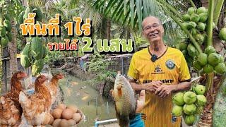 เกษตรทฤษฎีใหม่พื้นที่ 1ไร่รายได้ 2แสน!! ทำน้อยแต่ได้มาก ว่างตรงไหนใส่ให้เต็ม