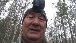 Охота на уток. Весна 2025 год. Якутия.