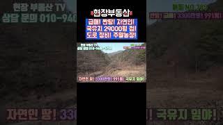 산골 오지 자연인땅 국유지 임야 접 991평 #sorts #현장부동산 #자연인땅 #산골오지땅