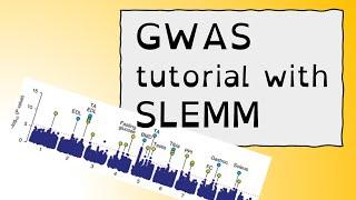 GWAS tutorial with SLEMM: A Beginner's Guide