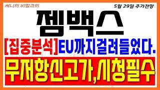 [젬백스]"집중" 유럽의 기대감까지 더한 최종 목표가. 지금 준비하지 않으면 놓칠 수 밖에 없습니다. 제2의 한화에어로스페이스. #젬백스 #젬백스주가전망