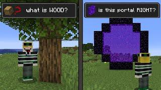 Minecraft if players FORGOT how to PLAY