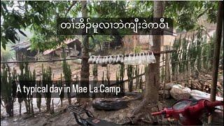 A Typical Day in Mae La Refugee Camp | 2024 Vlog.