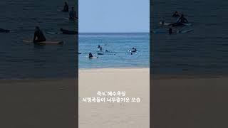 서핑의성지 죽도해수욕장 때이른 더위에서핑메니아들의 즐거운함성이끊이지않네요ᆢ #서핑#관광#여행#죽도#강릉#강릉맛집