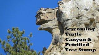 Into Screaming Turtle Canyon - Badlands Check - Petrified Tree Stump