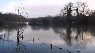 December floods on the River Cych and  Teifi , Alma House, Abercych