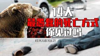 世界上最愚蠢的14个死亡方式是啥？被粑粑砸死，还有因自拍而亡