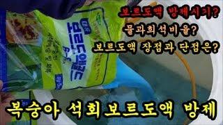 복숭아농사 석회보르도액 방제시기 장단점 청도달콤한농장