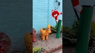Hand made DIY #diy #craft #explore #viralvideo #balconygarden #decoration #garden
