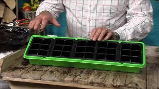 How to use Windowsill Propagator Kits