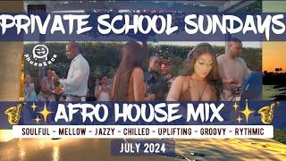 Private School Sundays  Jazzy & Relaxing Melodic Amapiano & Afro House Mix July 2024